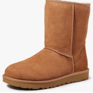 Chestnut Classic Short II Uggs